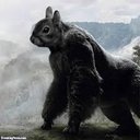 Daniel Seay - @Danieleay1 - Twitter