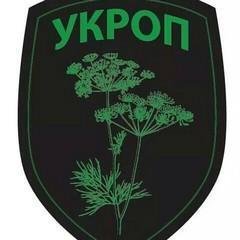 Лицар