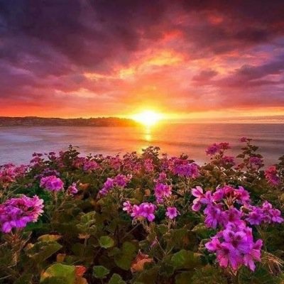 ‏سبحان الله وبحمده  سبحان الله العظيم