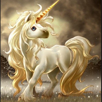 les licorne, c'est ma passion! je les adors ❤️❤️❤️