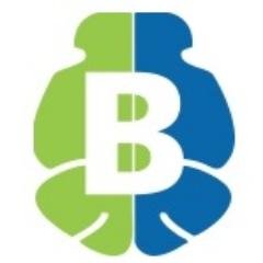BrainVMap's profile picture. BrainVMap helps you to find Multiple Intelligence & their network, Innate potential to explore the inborn talent  and achieve their Life's Goal.