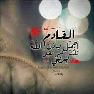 ‏طالبه في الثانوي ‎@محبة الاعلام المحافظ                                                                       مدينة الشقاوه
