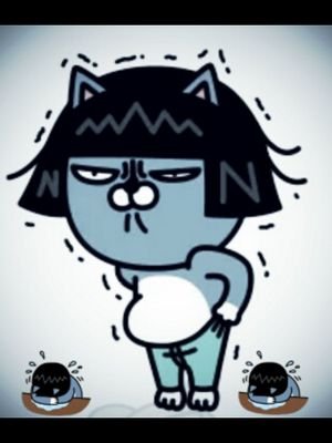 논현동 역삼동 골목대장