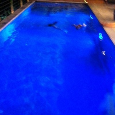 ofirel1's profile picture. 