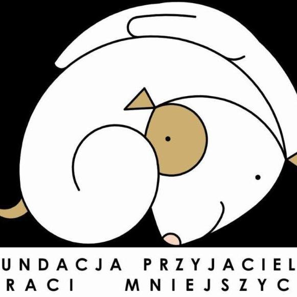 Fundacja Przyjaciele Braci Mniejszych prowadzi schronisko dla bezdomnych psów w Nowym Dworze Mazowieckim przy ulicy Leśnej.