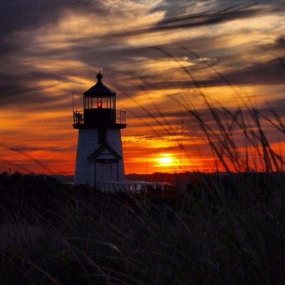 WelchsGrapeTwit's profile picture. Photographer | Chef | Nature Lover