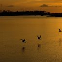 usman memon - @abc_memon - Twitter