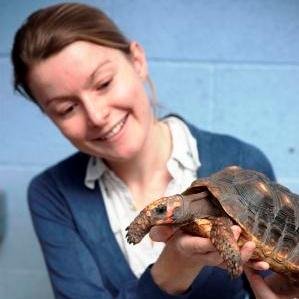 Animal Cognition | Professor Anna Wilkinson