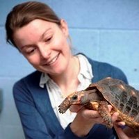 Anna Wilkinson (@coldbloodedcog) 's Twitter Profile