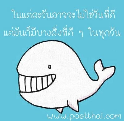 maoputtar's profile picture. 