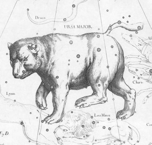ursa_major's profile picture. 
