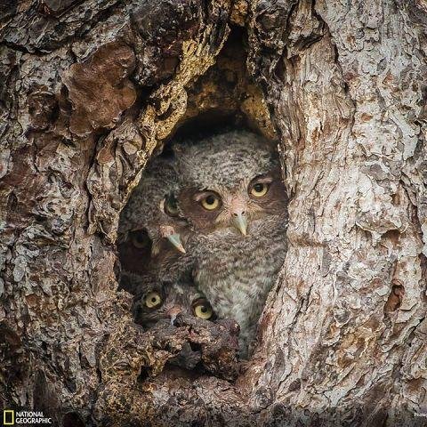 Yagupop88's profile picture. Російскомовний Українець