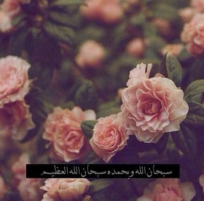 ‏‏‏‏‏‏‏‏‏‏‏‏‏‏‏‏انا والهﻻل انكتبنا في الهوى عشاق  HFC 《الخاص مهمل