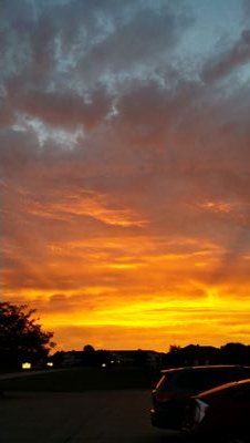 tknovy's profile picture. Hard working nursing professional &  mother!