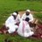 faisalmofrg's profile image