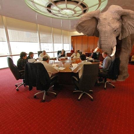 Don't ignore the elephant in the room!