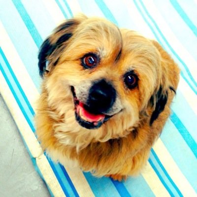 astropollo's profile picture. 