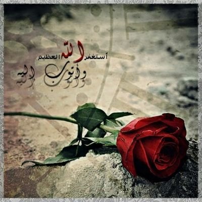 ‏هذه الحياة جميله ماعليك سوى ان تفتح قلبك كي ترى النور