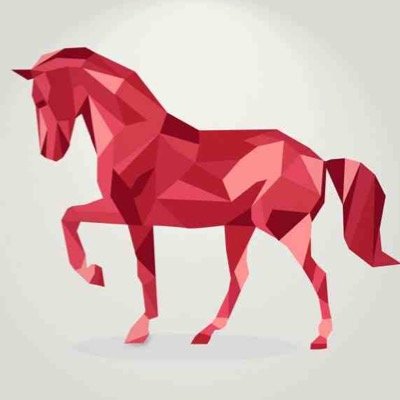 Rashbrook Equestrian Development & Sales
