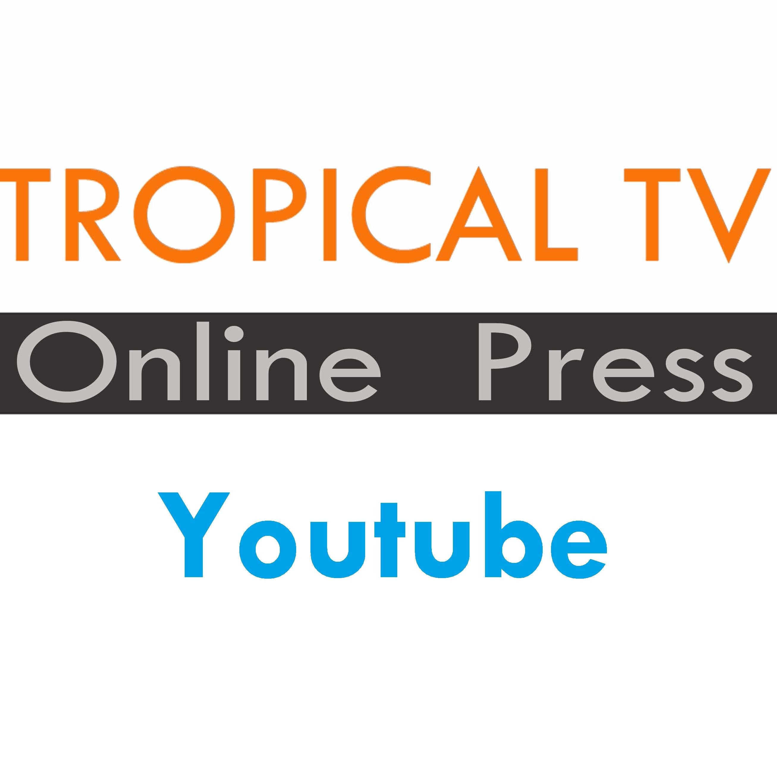 Art Broker _Curator_Communication  Tropical TV Producer