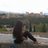 Zoraida200493's profile image