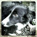 martin gaffney - @gralf82 - Twitter