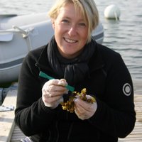 Linda Kumblad (@lindakumblad) 's Twitter Profile