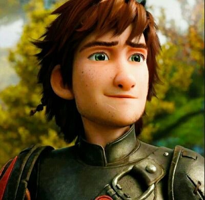 My names Hiccup, great name I know. I used to be the odd man out but not anymore. Now I'm the pride of Berk. Me and Toothless changed everything.