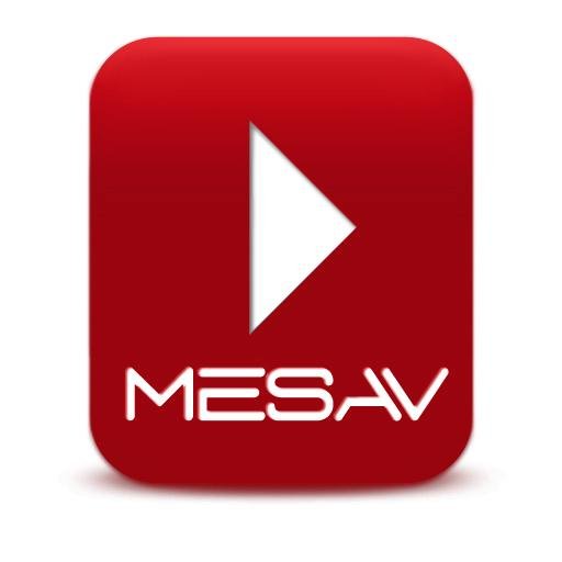Mesa Sectorial de l'Audiovisual Valencià
