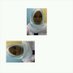 Annisa Suandy (@annisa_suandy) Twitter profile photo Annisa Suandy (@annisa_suandy) Twitter profile photo