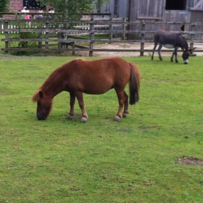 hilton_tracey's profile picture. 