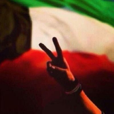 jdjdhfgghdjejj1's profile picture. 