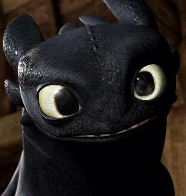 a night fury named Toothless im a male and I LOVE FISH, I became the alpha but i dont abuse it, age: 20, Rider: Hiccup