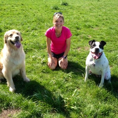 Runthosedogs's profile picture. Accomplished Marathon runner and Dog lover! My services include: Dog running, walking and daily pet sitting. Licensed & Insured. Now serving