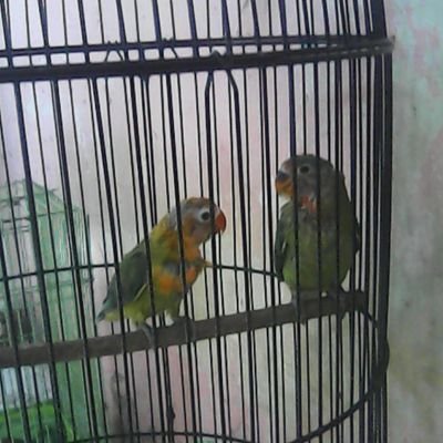 ab5fc47b781641b's profile picture. 