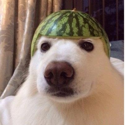 usano666's profile picture. 