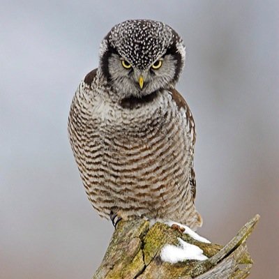 NMCcrushes's profile picture. send us your crushes name or description and we'll post it anonymously! not affiliated with NMC in any way, just for fun
**bullying & hate will NOT be posted**