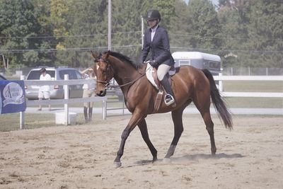 fbodygirl89's profile picture. Cant this wait til Im old? Cant I live while Im young? #OTTB and #GSD enthusiast