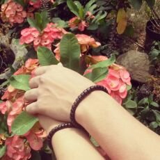 151109 @erwinm (˘⌣˘)ε˘`)