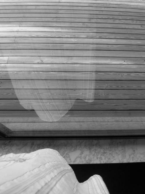 dowegetsmocks's profile picture. i'm in love with the world. i prefer dandelions.