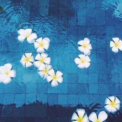 ‏آنسان عآدي آبحث عن سعآدة غيري قبل ان اسعد نفسي ❤الخاص مغلق