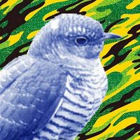 ｶｯｺｳ (@kakk0h) 's Twitter Profile