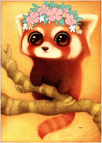 derek_he's profile picture. {码工,伪·ACG众,Android,iOS, NBA吐槽,美食,电影,被人说显得成熟，德鲁伊}