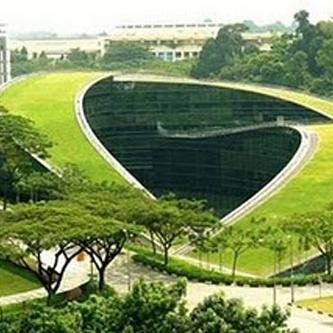 From City Roof tops to City Forests. #greenthatch #greenskyline