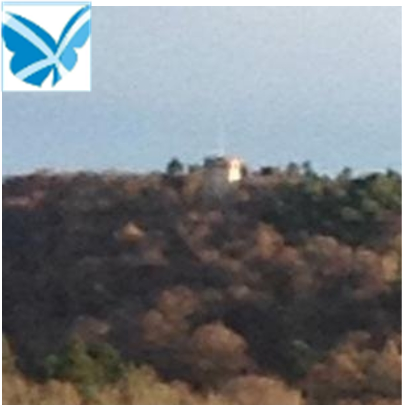 yesforres's profile picture. Cross-party group campaigning for Scottish independence in the Forres, Dyke, Edinkillie, Findhorn, Kinloss and Rafford area