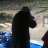 r5rockspapa's profile image
