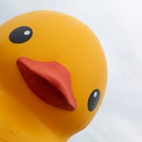 Vern (@vern_999) 's Twitter Profile