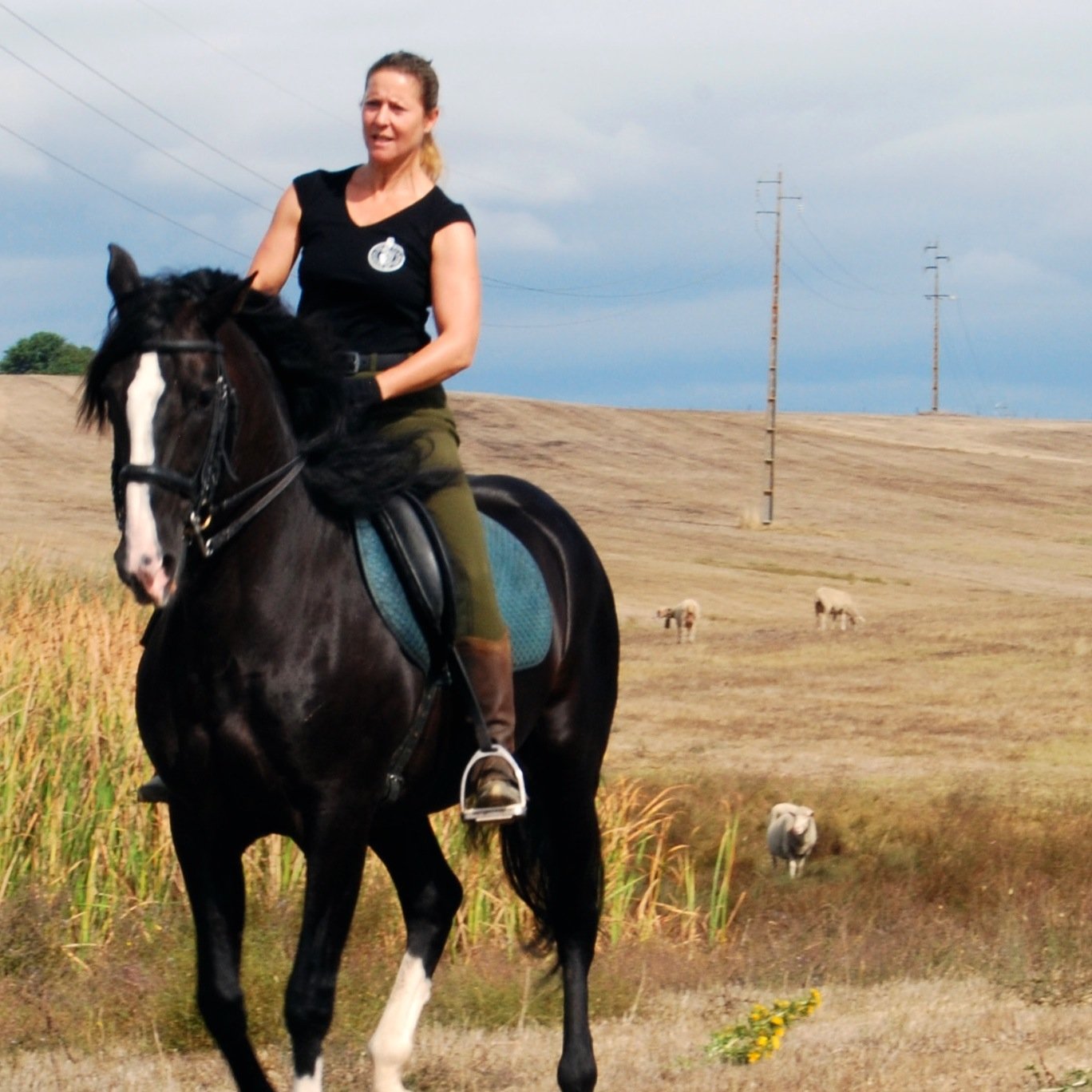 DorinaLindemann's profile picture. Quinta da Plansel