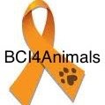BCI's animal rights club. #BCI4Animals