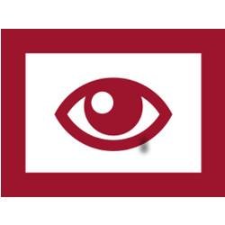 TDA_Agency Profile Picture